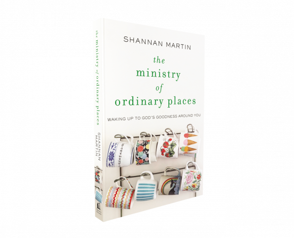 Book Review – The Ministry of Ordinary Places