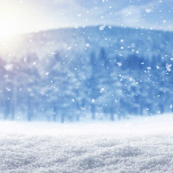 January 2026 – Let it Go! … No, Seriously, Just Let it Go!